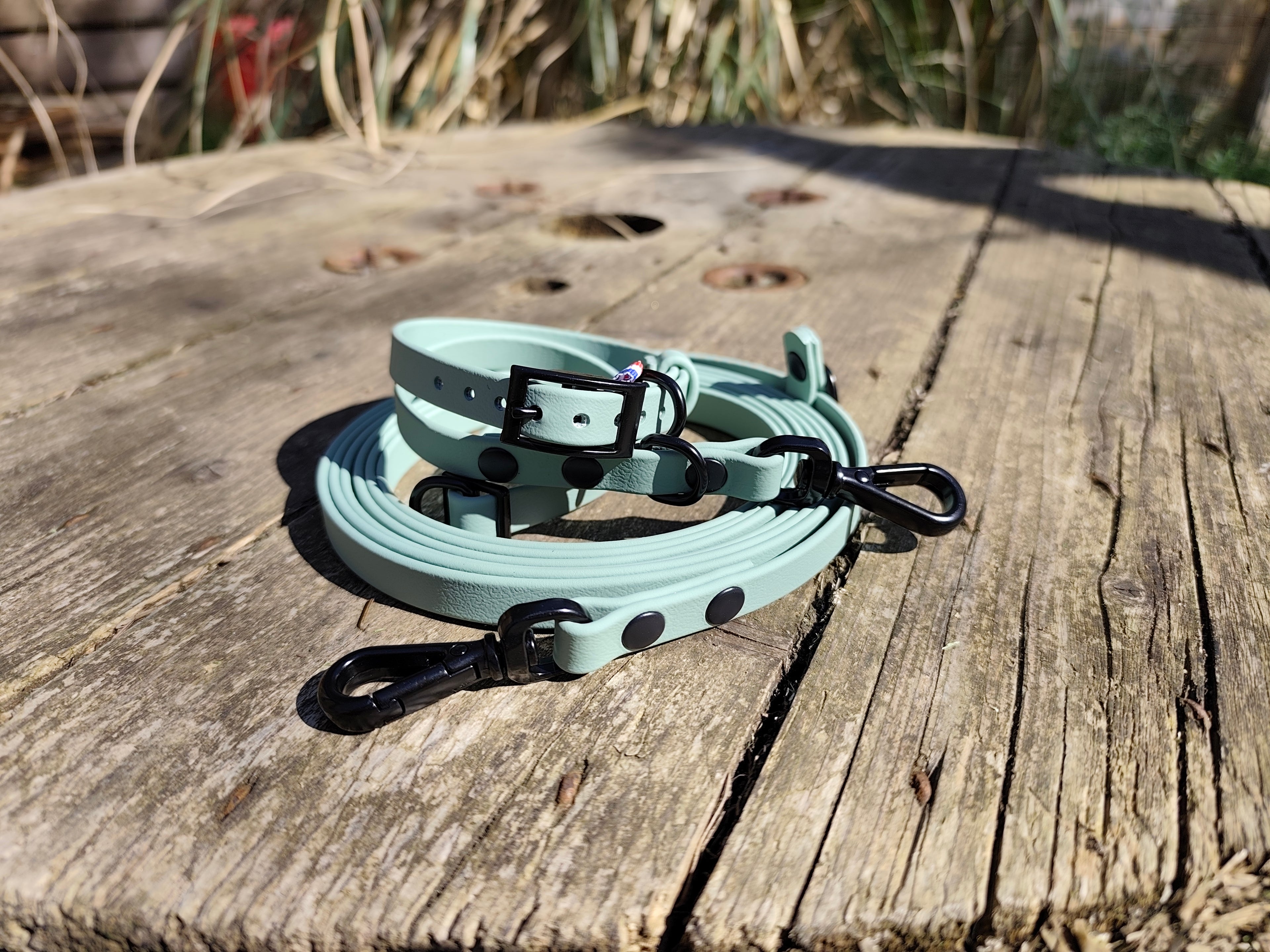 Laisse multi position 3 m en 13 mm Spécial petit chien ( chat)