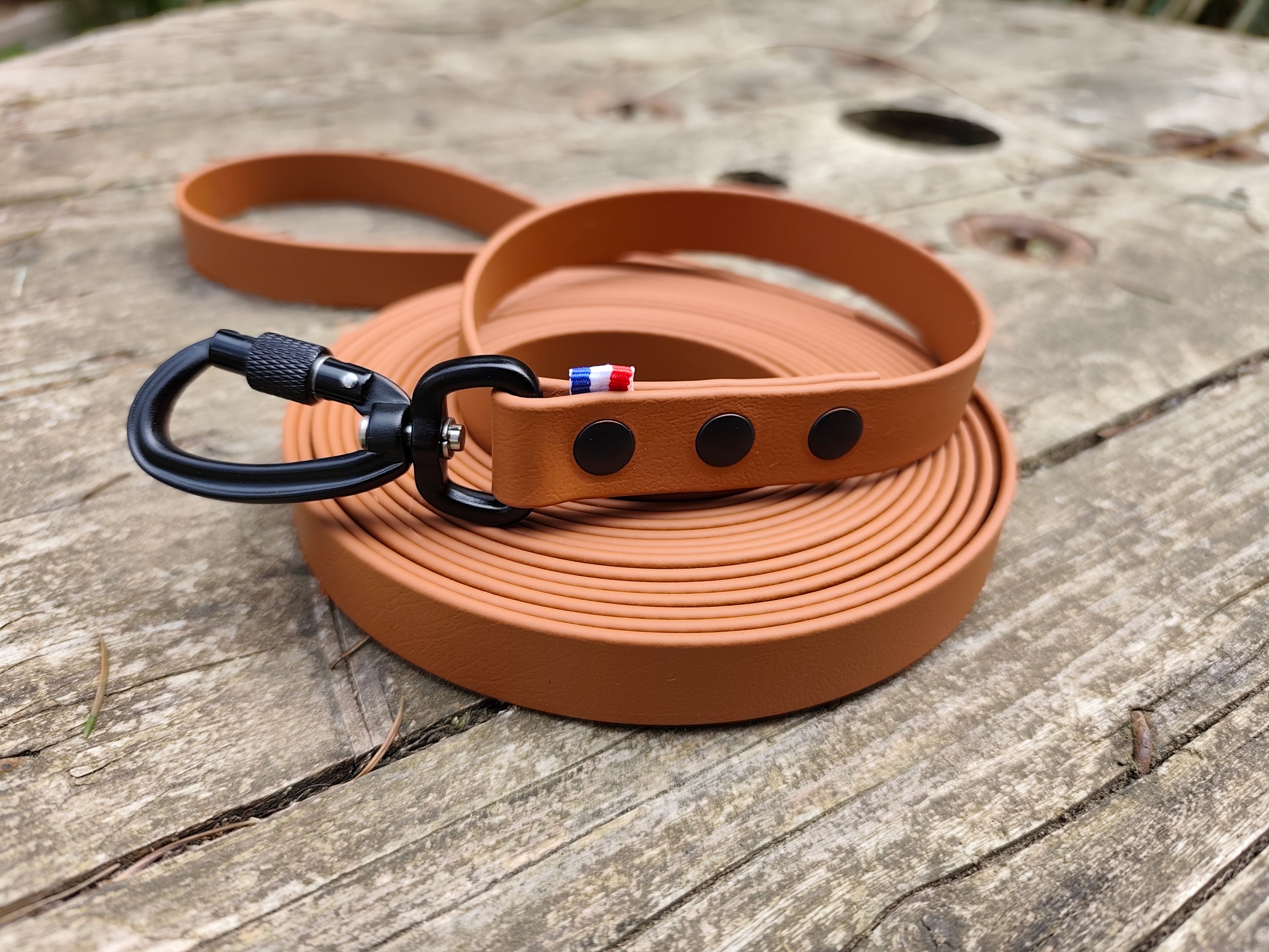 Longe 5 m en biothane véritable