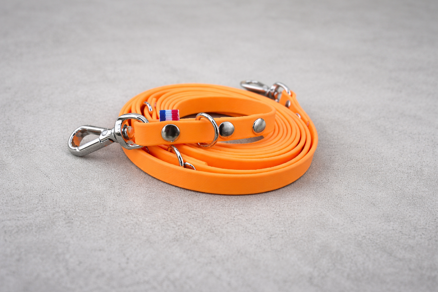 Laisse multi position 3 m en 13 mm Spécial petit chien ( chat)