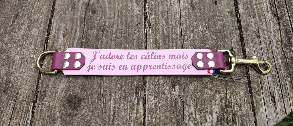 Tag ( rallonge signalétique) 38 mm