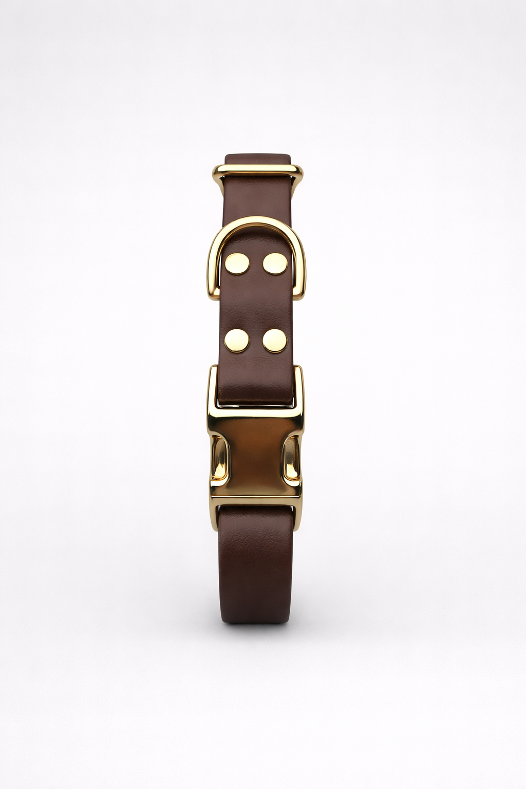 Collier biothane® a clips 19mm de large
