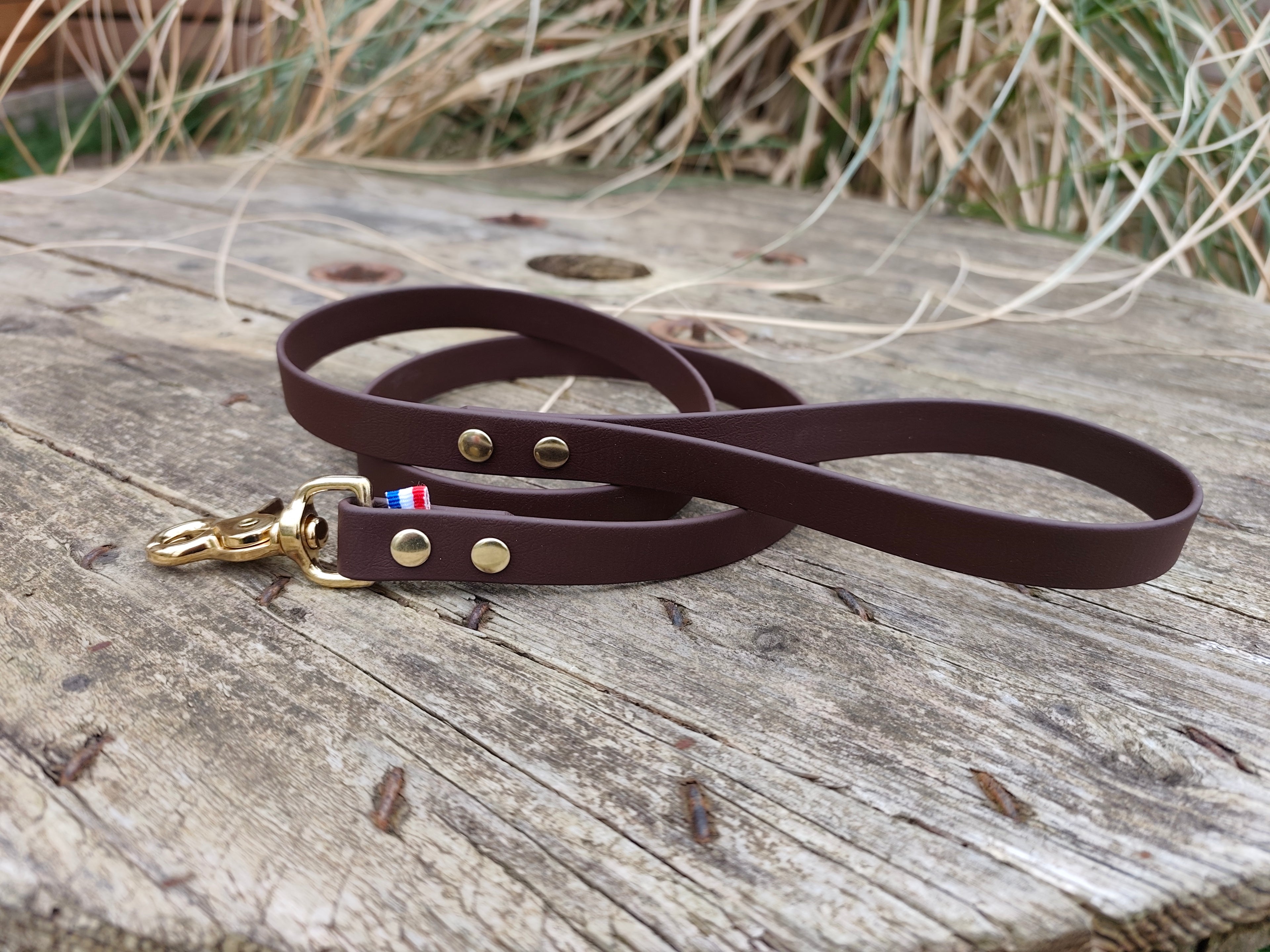 Laisse en biothane 19 mm ou 25 mm