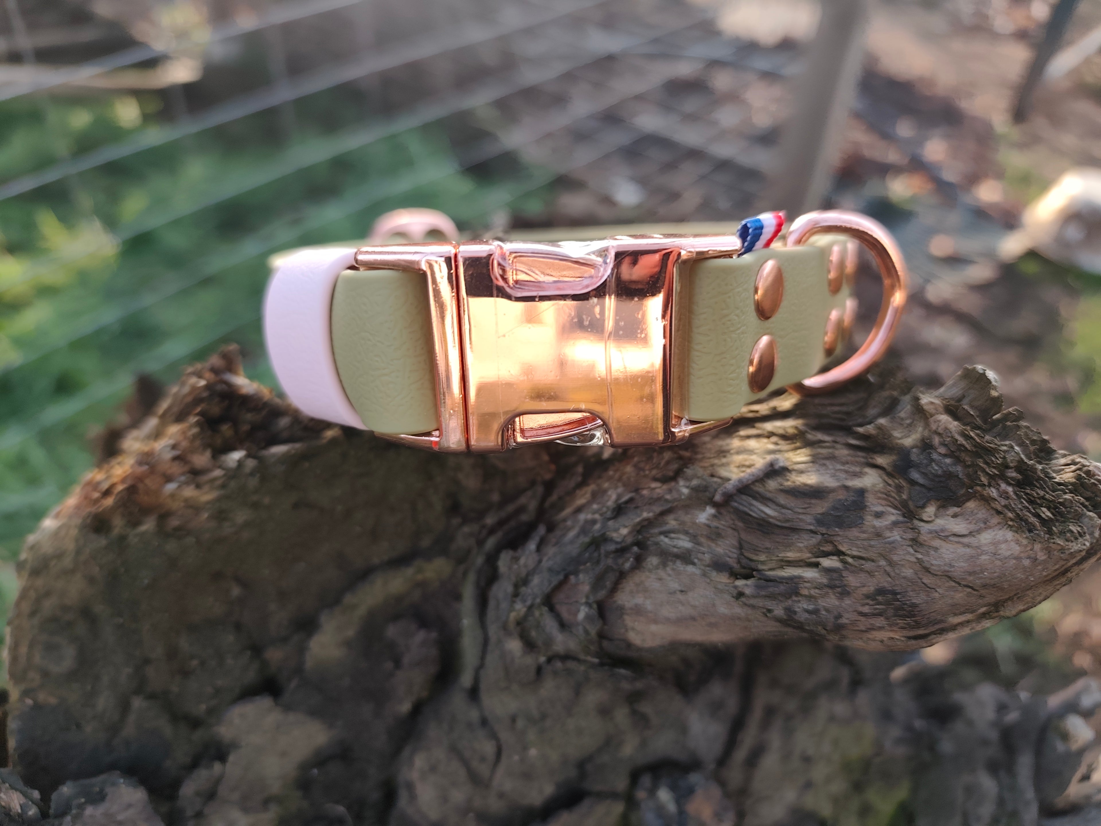 Collier biothane® clips 25mm de large