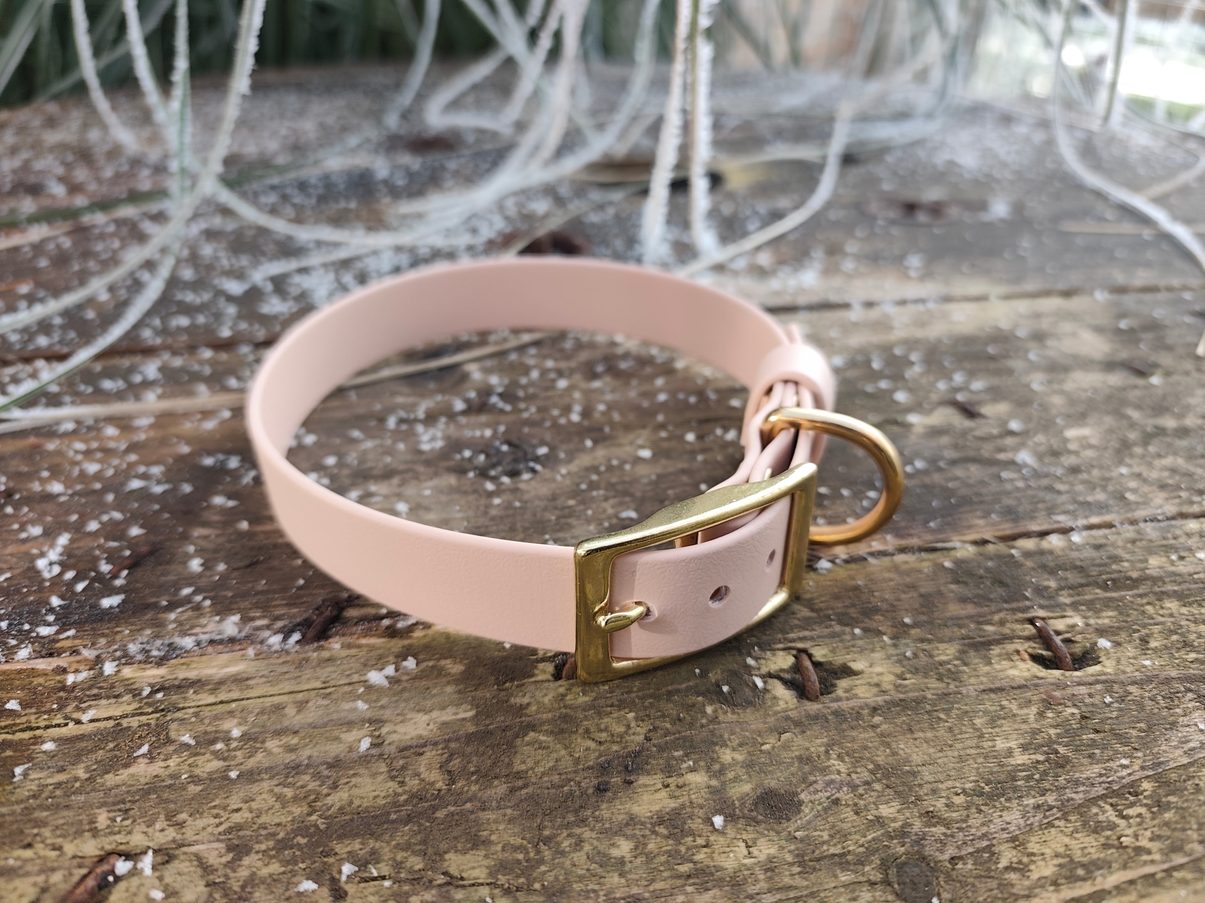 Collier biothane® 25mm de large