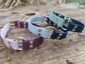 Collier bicolore en biothane® 25 mm de large