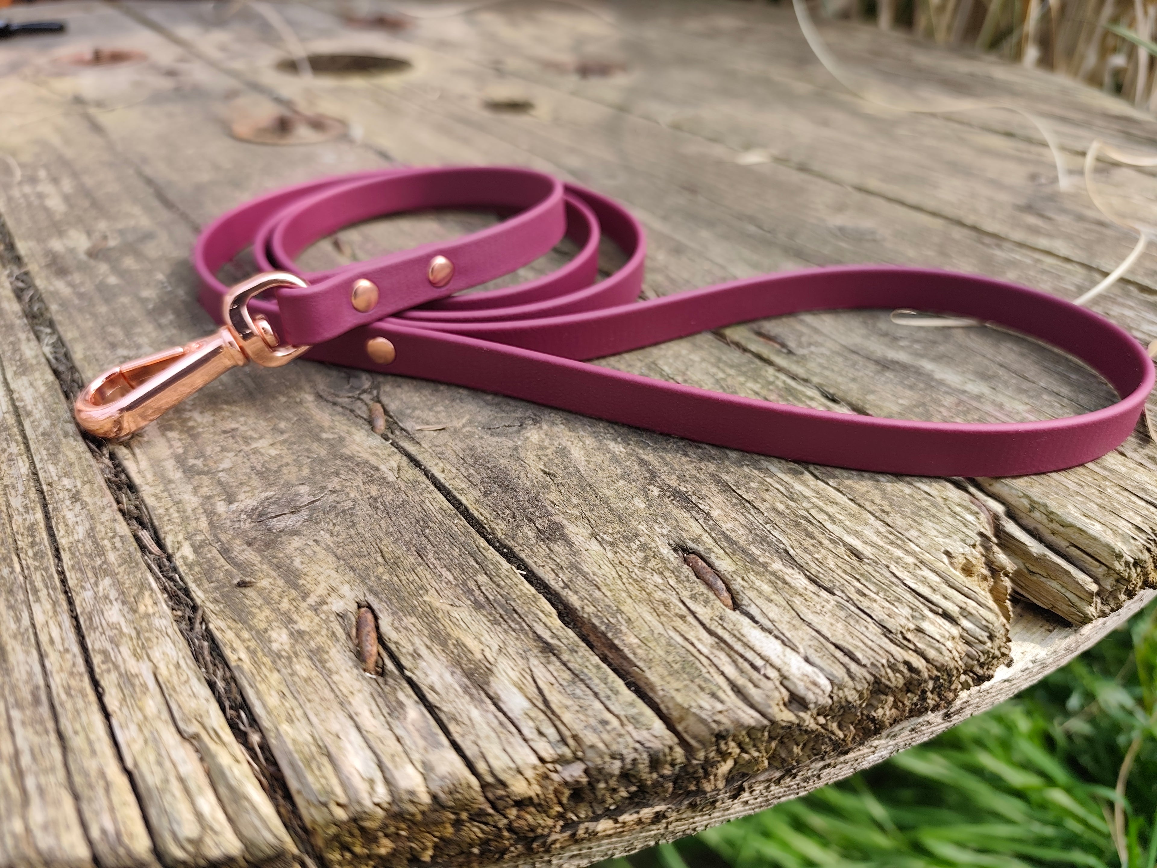 Laisse spéciale petit chien 13 mm