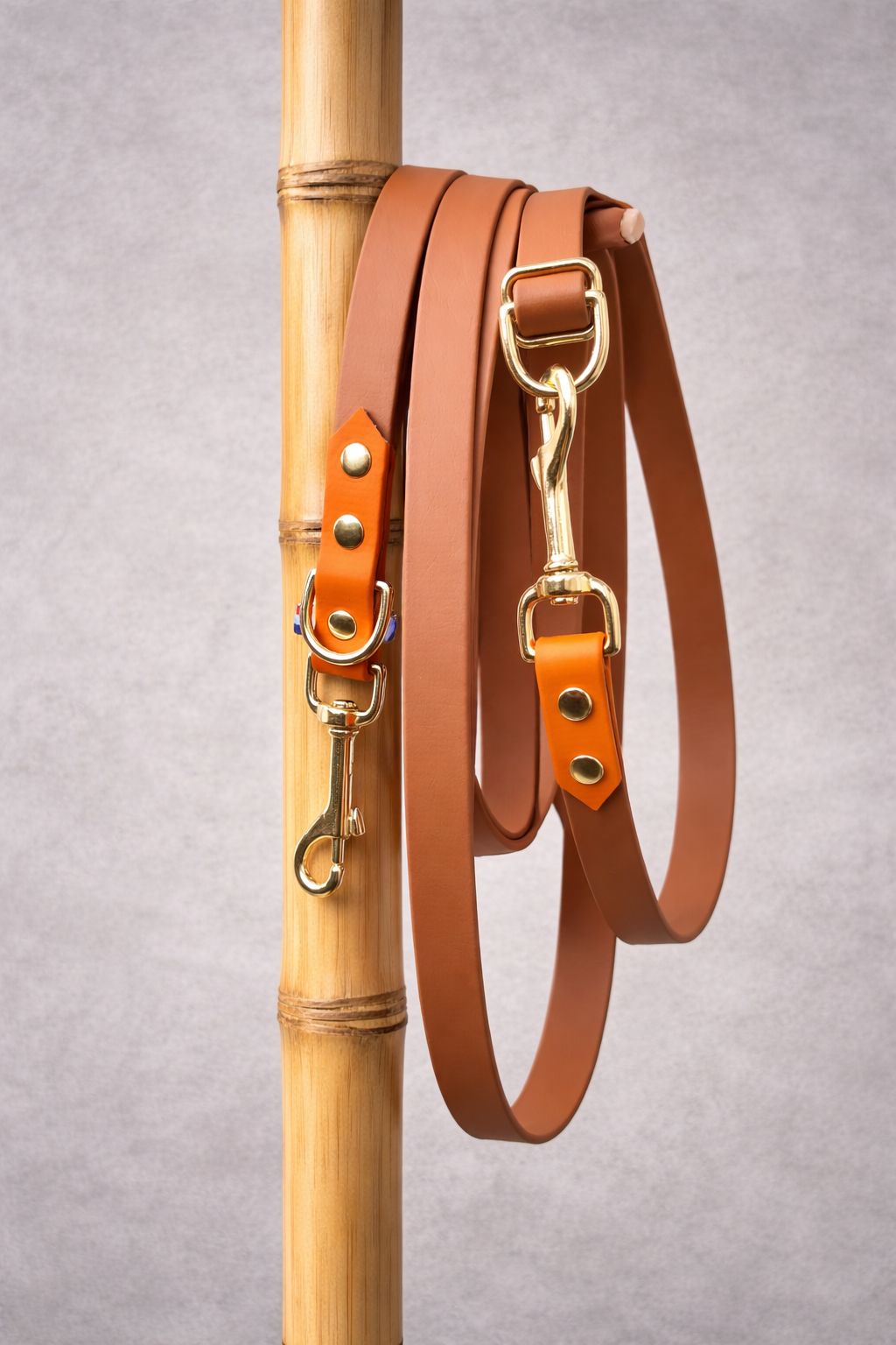Laisse multi positions 19 mm bicolore 3 m