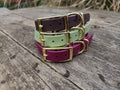 Collier biothane® 19mm de large