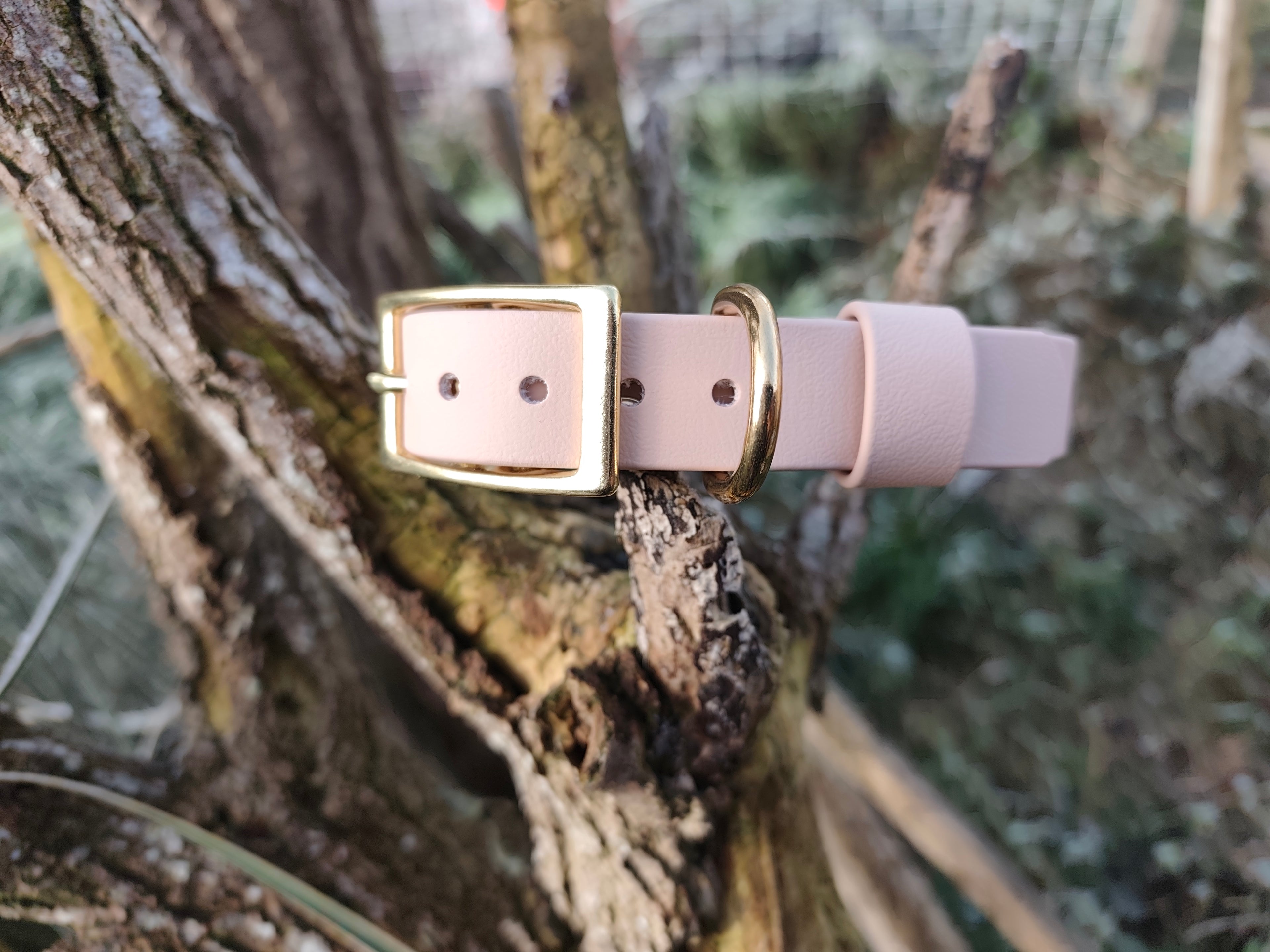 Collier biothane® 25mm de large