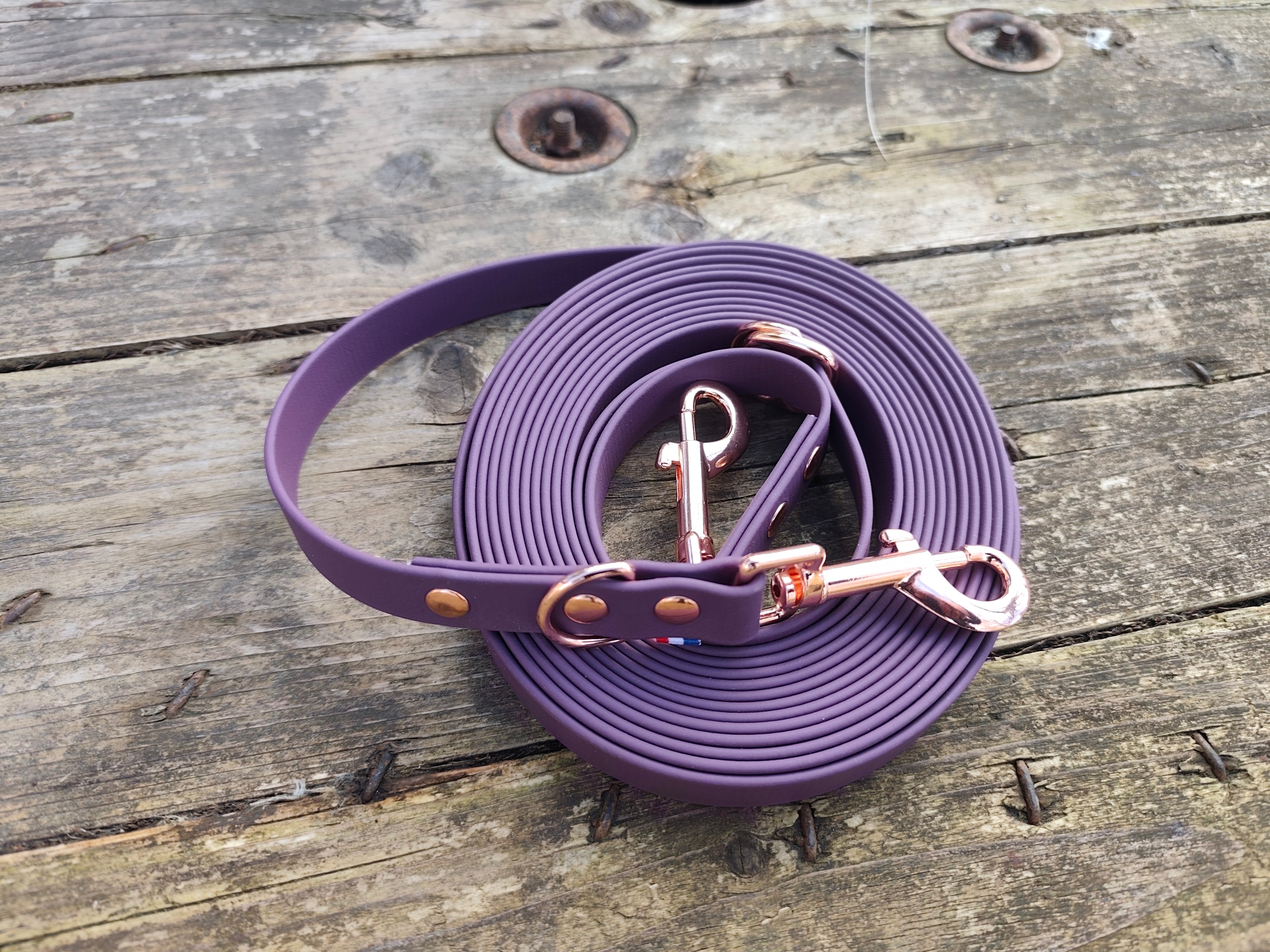 Laisse multi positions 19 mm 3 m