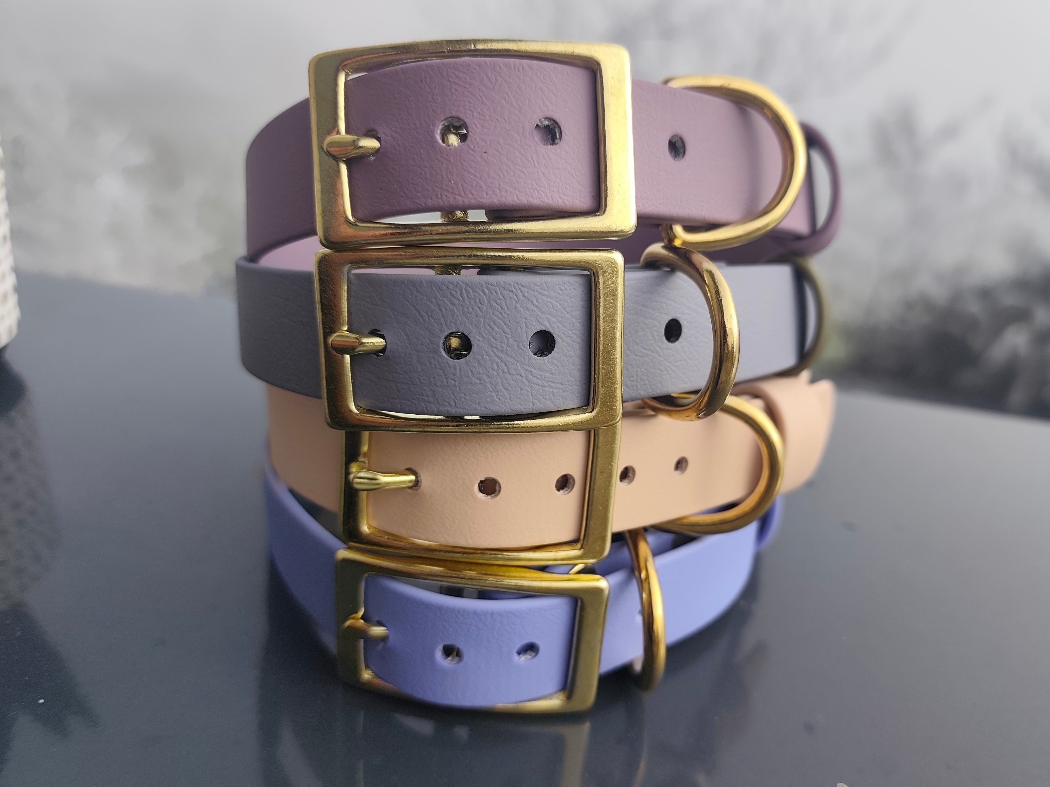 Collier biothane® 25mm de large