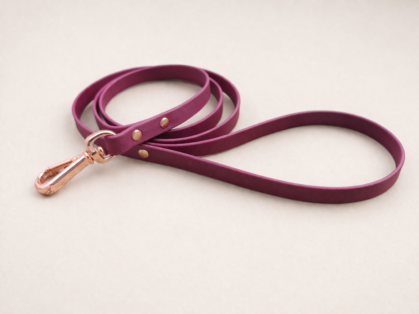 Laisse spéciale petit chien 13 mm