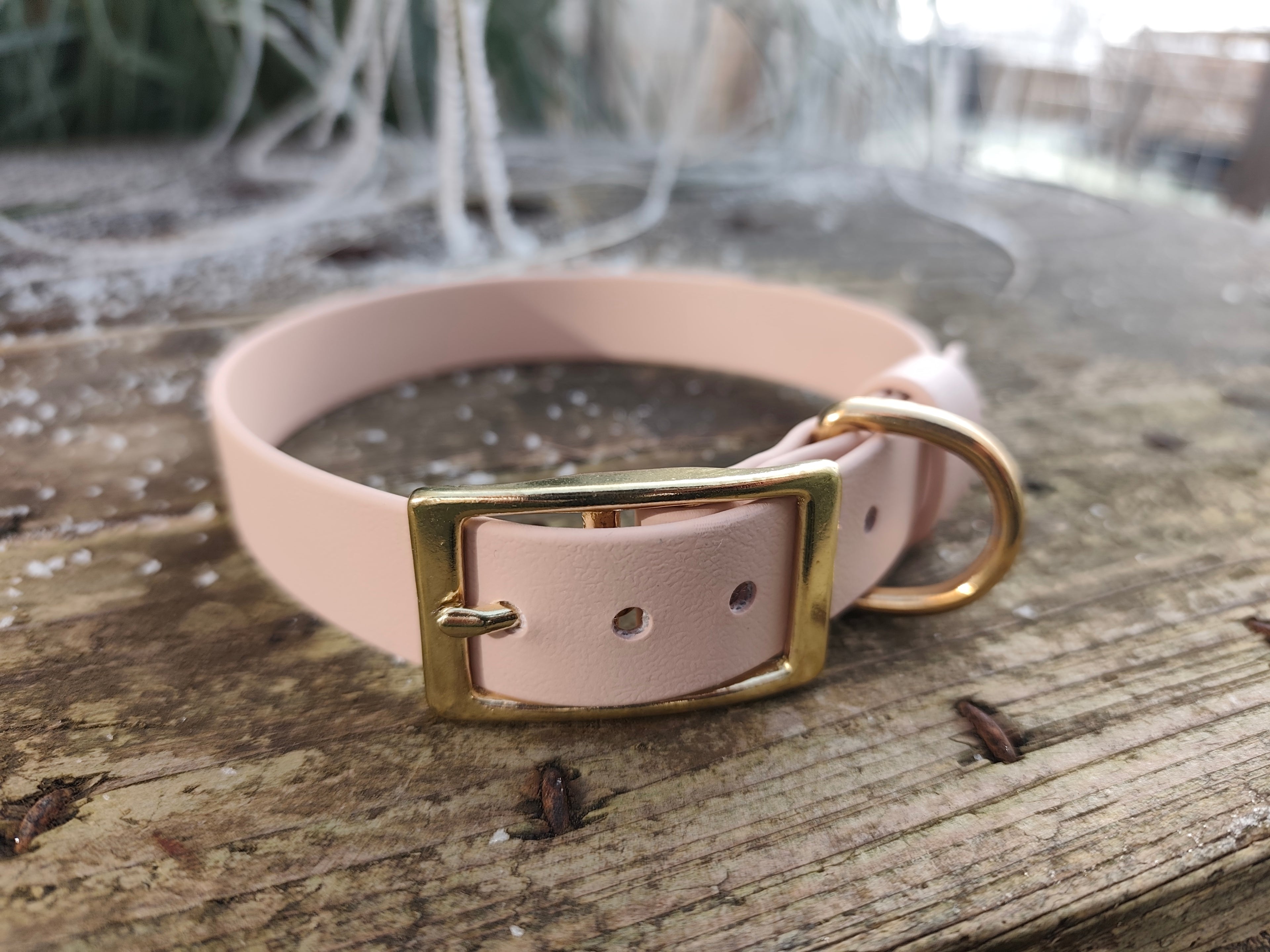 Collier biothane® 25mm de large