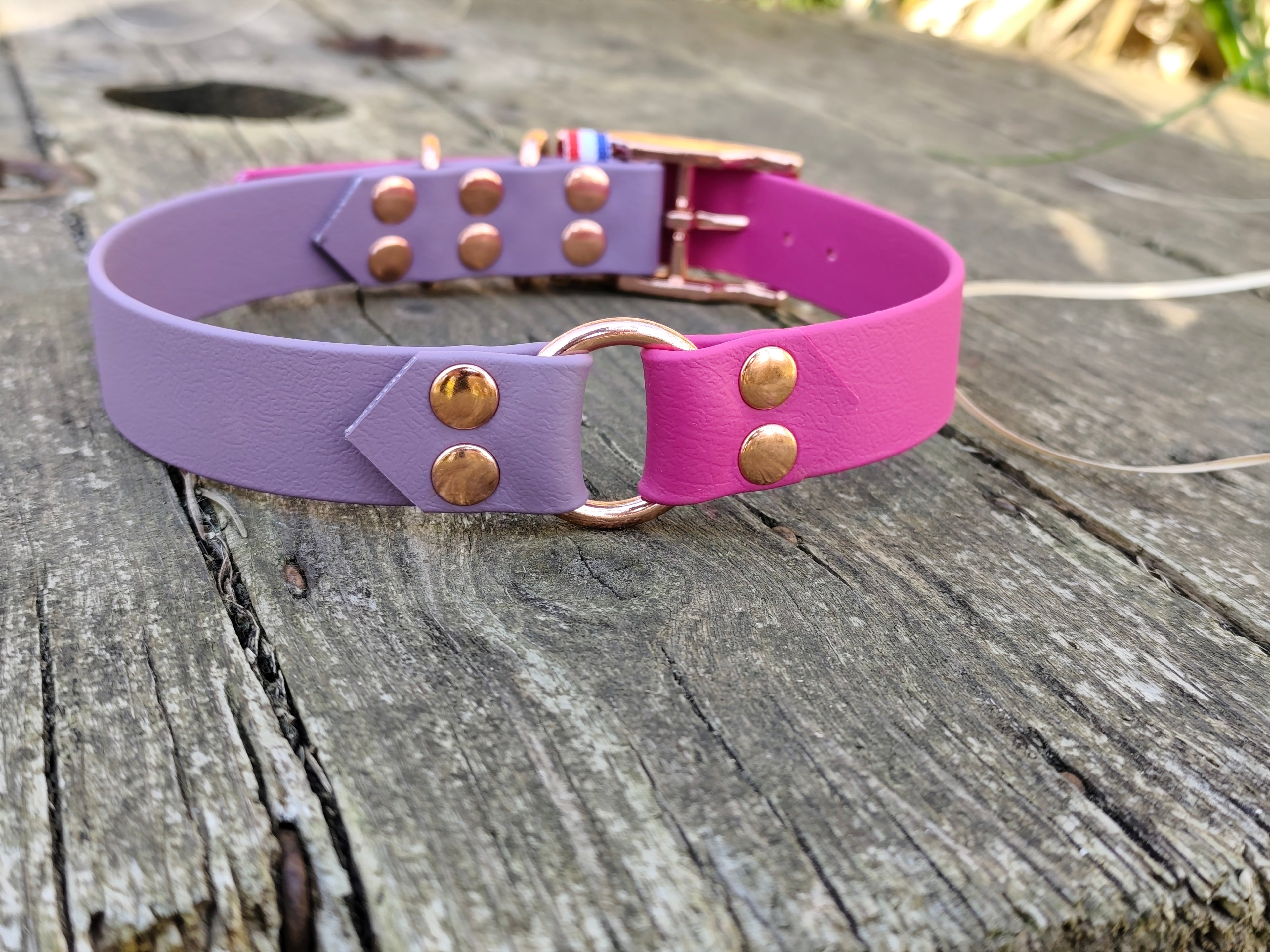 Collier bicolore en biothane® 25 mm de large
