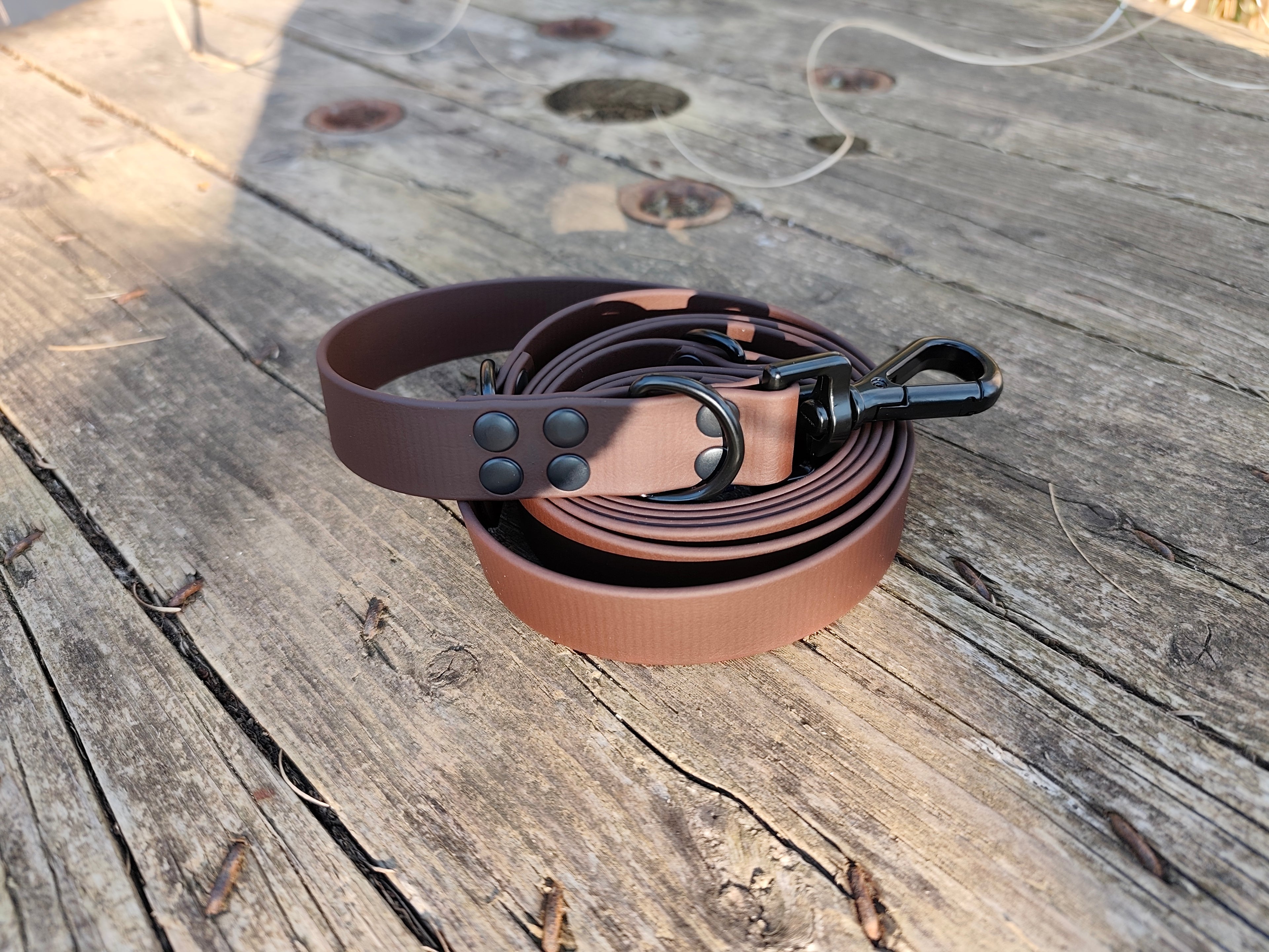 Laisse multi positions 3 m en 25 mm