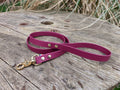Laisse en biothane 19 mm ou 25 mm