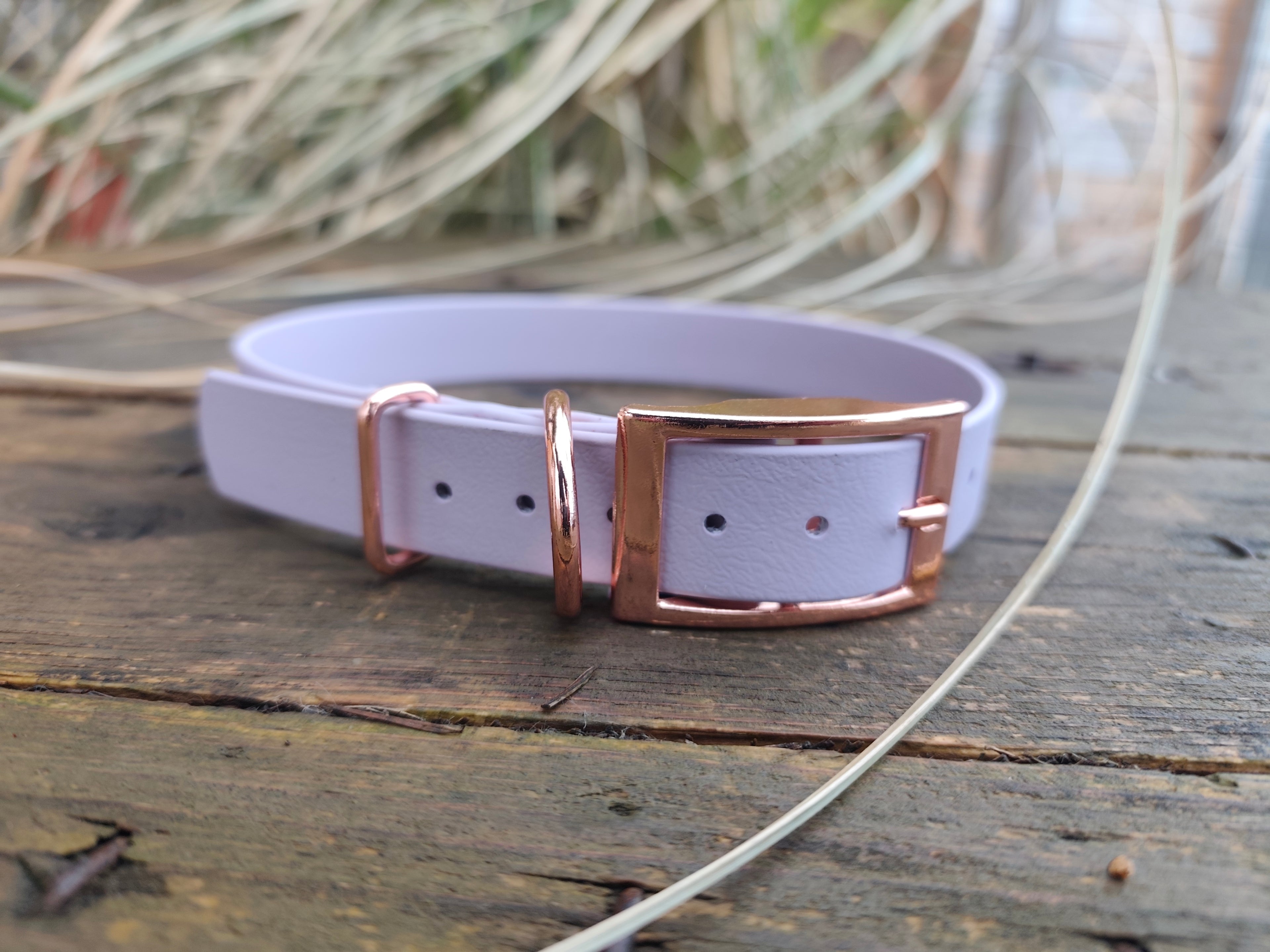 Collier biothane® 25mm de large